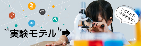 実験モデル